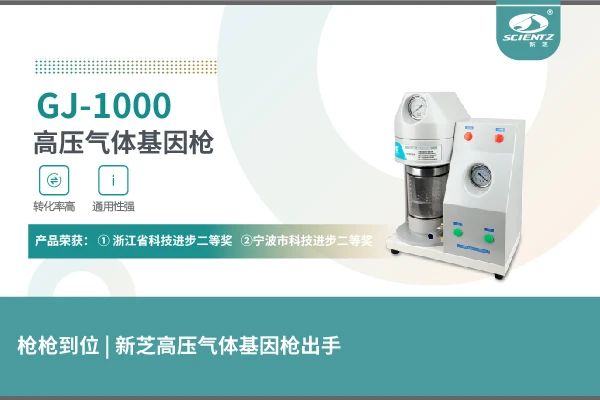 高壓氣體基因槍?xiě)?yīng)用微核組氨酸在細(xì)胞中的定位