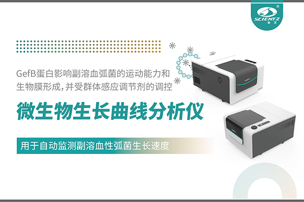 論文分享｜基于MGC系列揭示環(huán)境鎂離子對副溶血性弧菌毒力與生物膜形成的全局調控